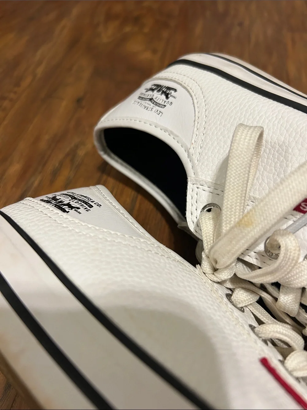 White Low-Top Canvas Sneakers with Black Trim Levi's - Picture 7 of 8
